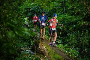 BIB: 
                            <button type="button" onclick="openModal(18923178)" class="btn btn-primary btn-sm float-right btn-popup" data-toggle="modal" data-target=".modal-high-quality">
                        <i class="fas fa-shopping-cart"></i> Add to Cart
                    </button>
                                            <button type="button" onclick="isThisMe(18923178, true)" class="btn btn-success btn-sm float-right btn-popup btn-isme hidden" data-toggle="tooltip" data-placement="bottom" title="นี่คือรูปของคุณใช่ไหม คลิกที่นี่เพื่อเอาเข้าอัลบั้ม">
                        <i class="fas fa-plus"></i> Add to album
                    </button>
                    <button type="button" onclick="isThisMe(18923178, false)" class="btn btn-warning btn-sm float-right btn-popup btn-isnotme hidden">
                        <i class="fas fa-ban"></i> Remove from album
                    </button>